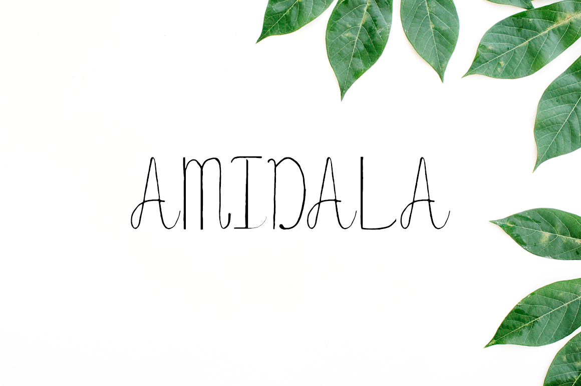 Amidala: Unlock Your Creative and Professional Potential