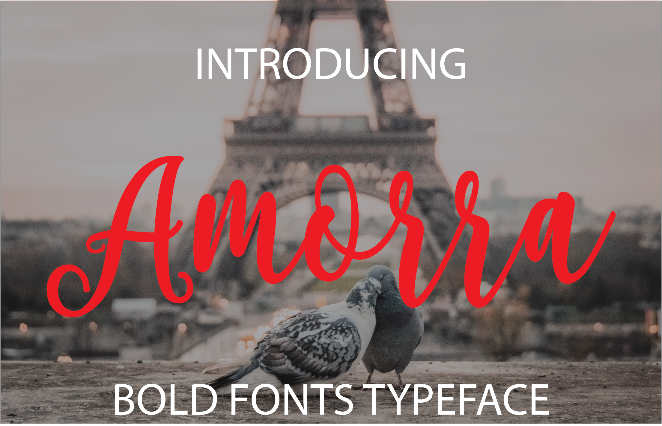 Amorra: A Creative Approach to Visual Storytelling