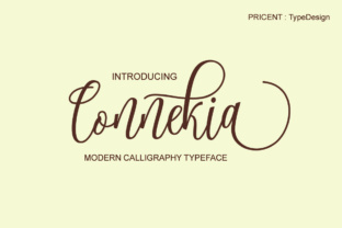Beyond Integration: Why Connekia Is Reshaping How Professionals Connect and Collaborate