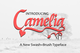 Camelia: A Practical Tool for Streamlined Creative Work