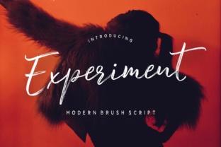 Evaluating Experiment Brush: A Practical Guide for Comparative Research
