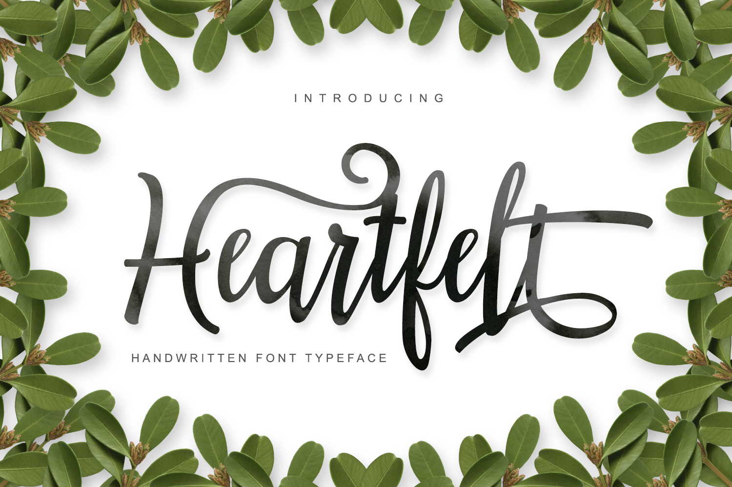 How Heartfelt Communication Transforms Your Content and Connections