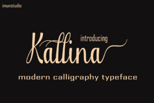 Kallina: A Practical Framework for Streamlined Workflow and Execution