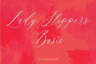 Lady Slippers Basic: The Foundational Tool Reshaping Professional Workflows