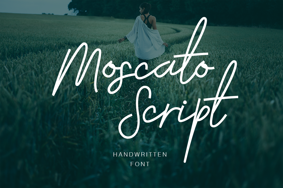 Moscato: A Practical Evaluation of Its Character, Versatility, and Real-World Appeal
