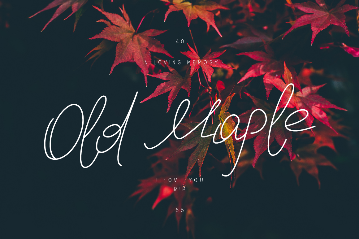 Old Maple: A Creative Foundation for Modern Design
