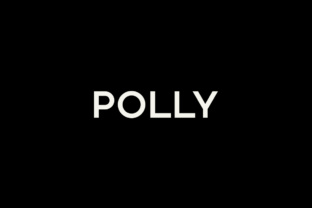 Polly: Redefining How Professionals Approach Content and Workflow