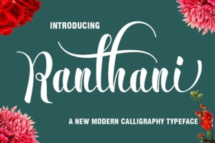 Ranthani: A Creative Approach to Purposeful Design