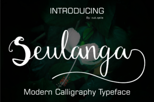 Seulanga: A Creative Framework for Clarity and Impact