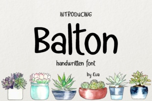 The Balton and Framework: A Practical Guide to Balanced Thinking and Harmonious Action