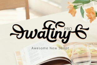 Wattiny Pro: What It Does, Who Actually Uses It, and When It Makes Sense