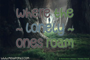 Where the Lonely Ones Roam: Finding Connection Beyond the Crowd