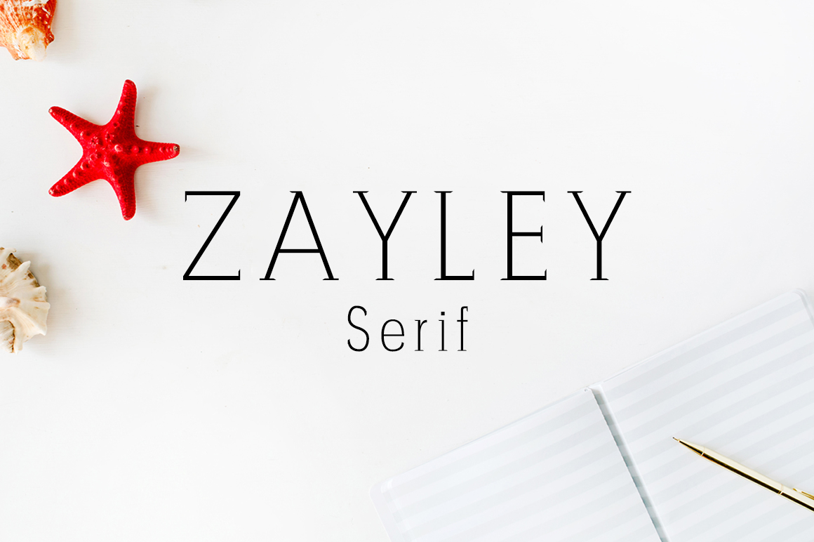 Zayley: Redefining How Professionals and Creators Manage Digital Workflows